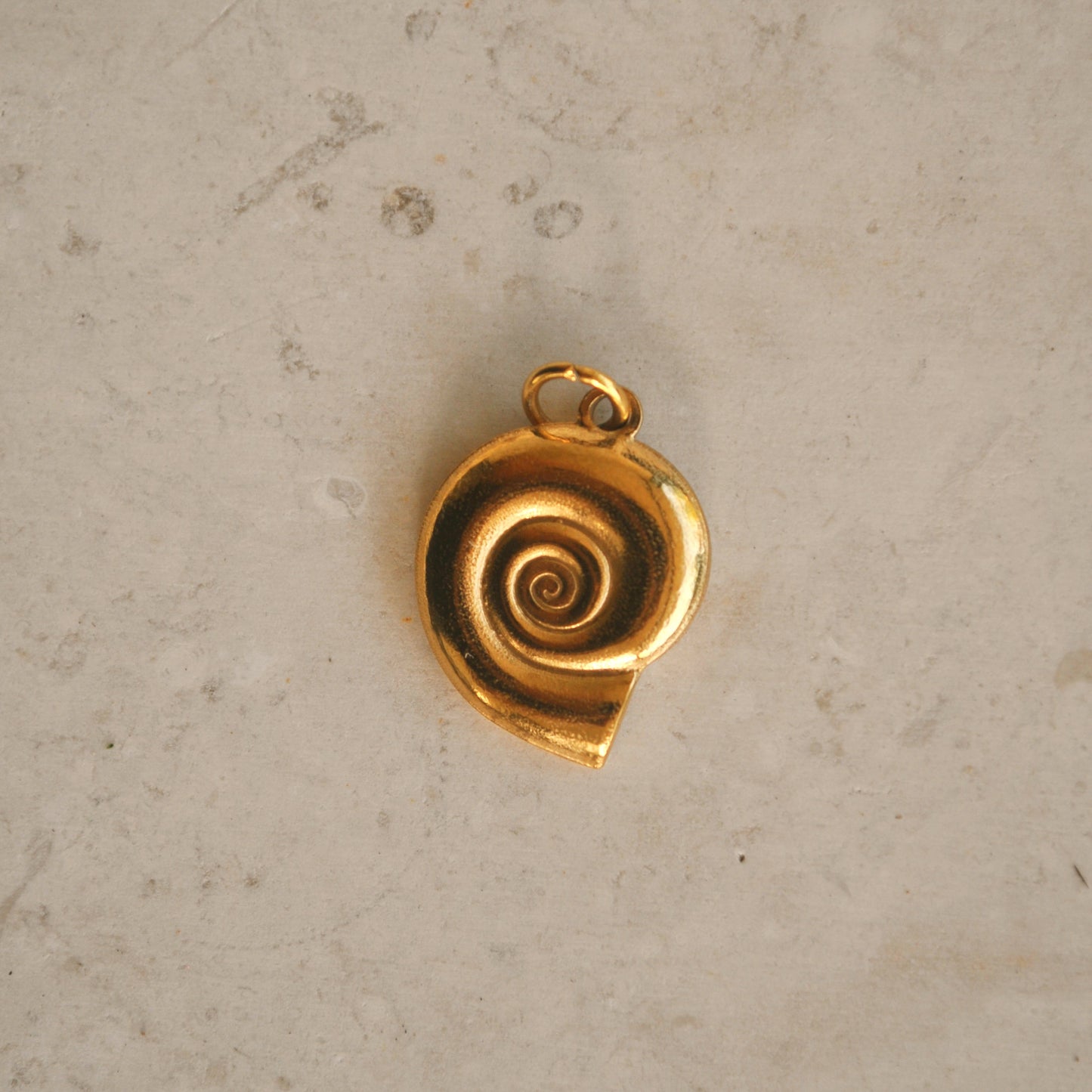 Concha espiral