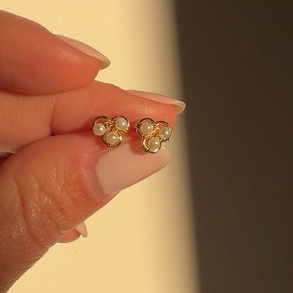 Trifolio Studs