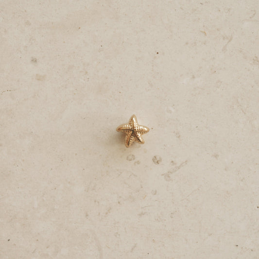 Estrella de Mar