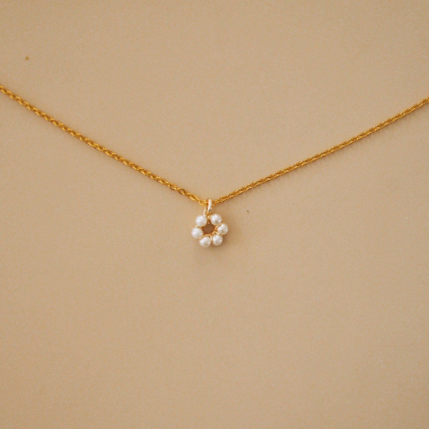 Cadena Camelia