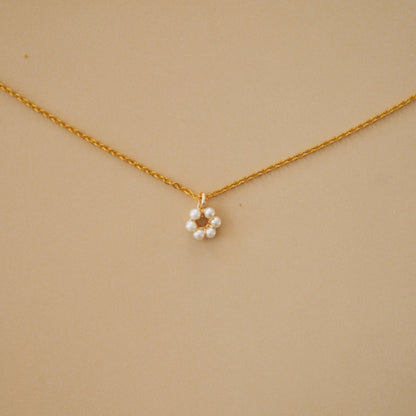 Cadena Camelia