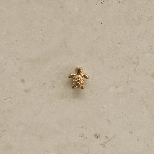Tortuga