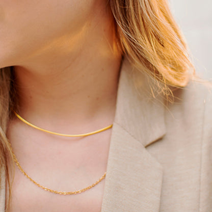 Choker and chain